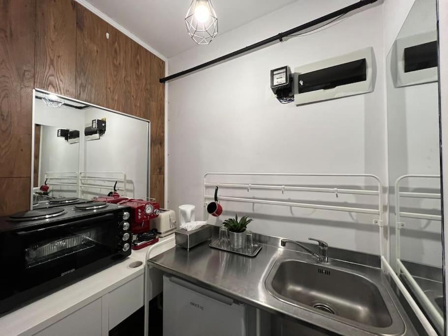 Inc Apartment In Villa Bucureşti Eksteriør bilde